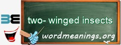 WordMeaning blackboard for two-winged insects